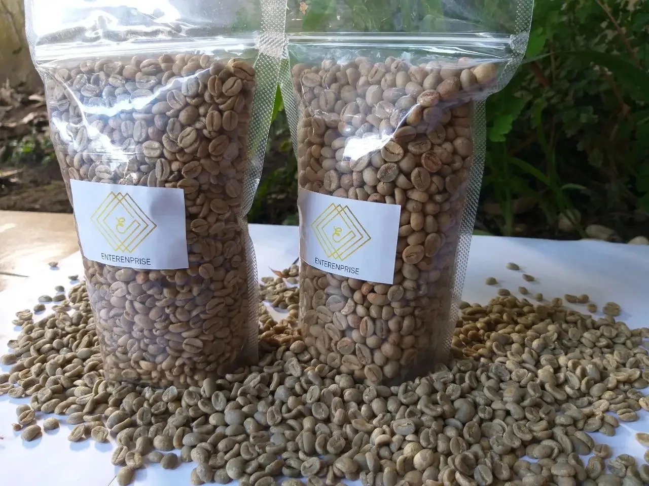 Green Bulk Arabica Coffee Beans / Brazilian Coffee Beans For Sale / Ethiopian Arabica Coffee Beans