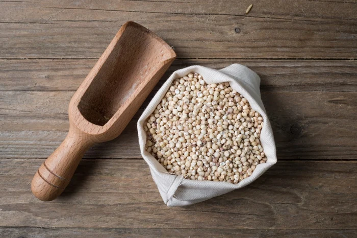 White Milo Sorghum Grains Sorghum Price Per Ton Grain sorghum best quality looking for bulk buyer reasonable price