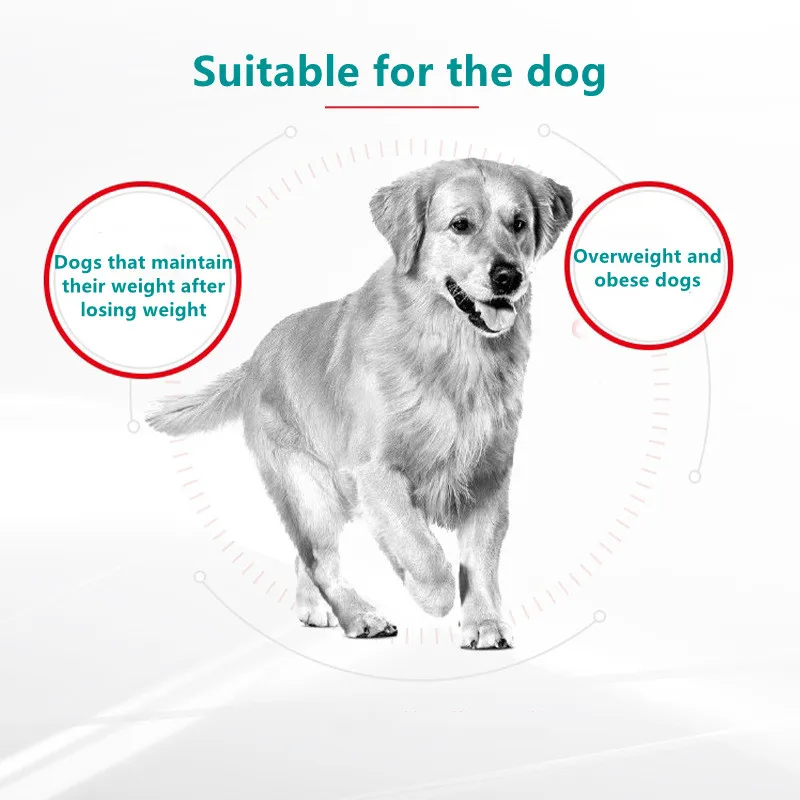 wholesale quality organic dry pet food dog chew snacks teddy labrador bully training royal canin dog food