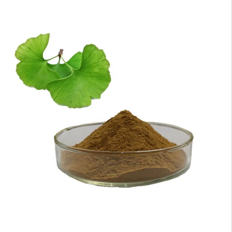 Wholesale Price Grade Ginkgo Biloba Leaf Extract Organic Ginkgo Biloba Extract Powder Gingko Extract