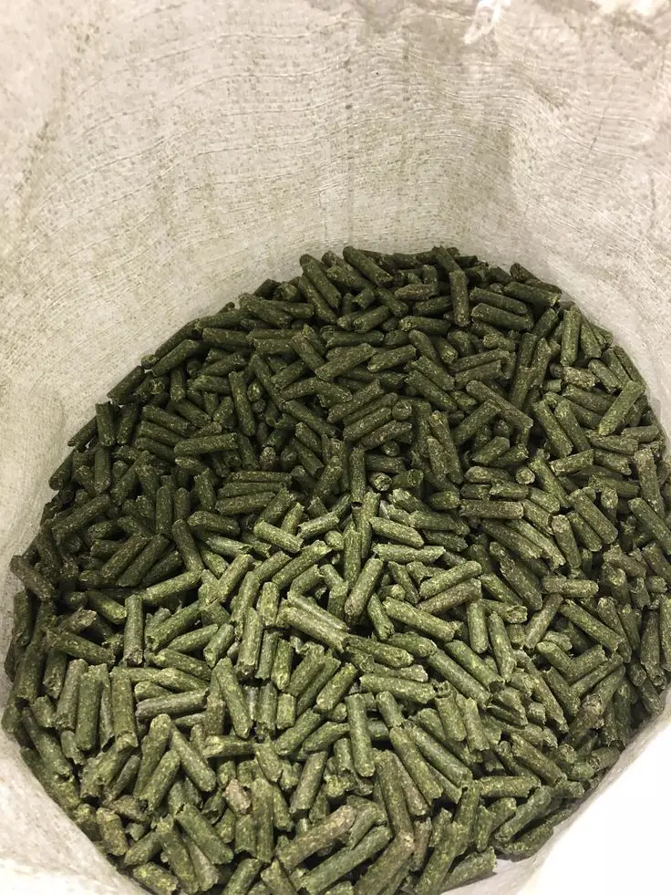 Excellent Quality Hot Selling Bulk Quantity Egypt Export Animal Feed Alfalfa Hay Pellets for Wholesale Buyers