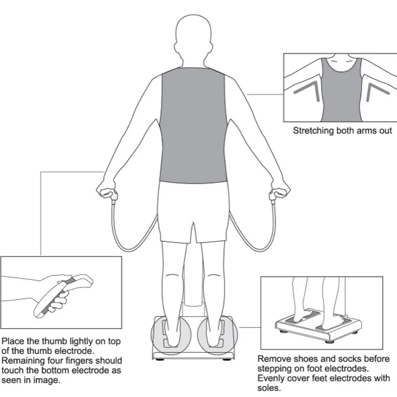BMI Multi-frequency Multi-limb Bioelectrical Impedance Scale  96% Data Accuracy Body Composition Analyser for Fitness Center