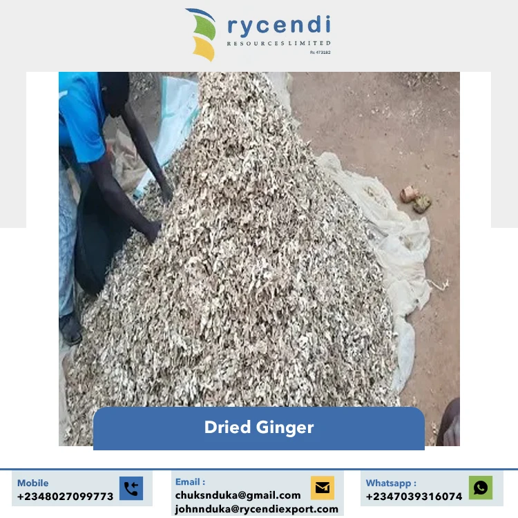 Wholesale Price Top Quality 100% Pure and Natural Taste Spicy Flavor Dried Split Ginger | Dried Ginger Flakes Nigeria