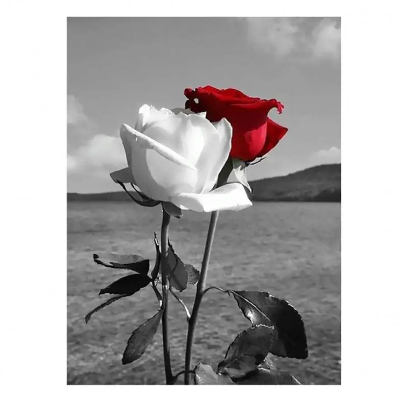 High Quality Painting Full Drill Red And White Roses Landscape Art Wall Decor Diy Diamond Embroidery Kit