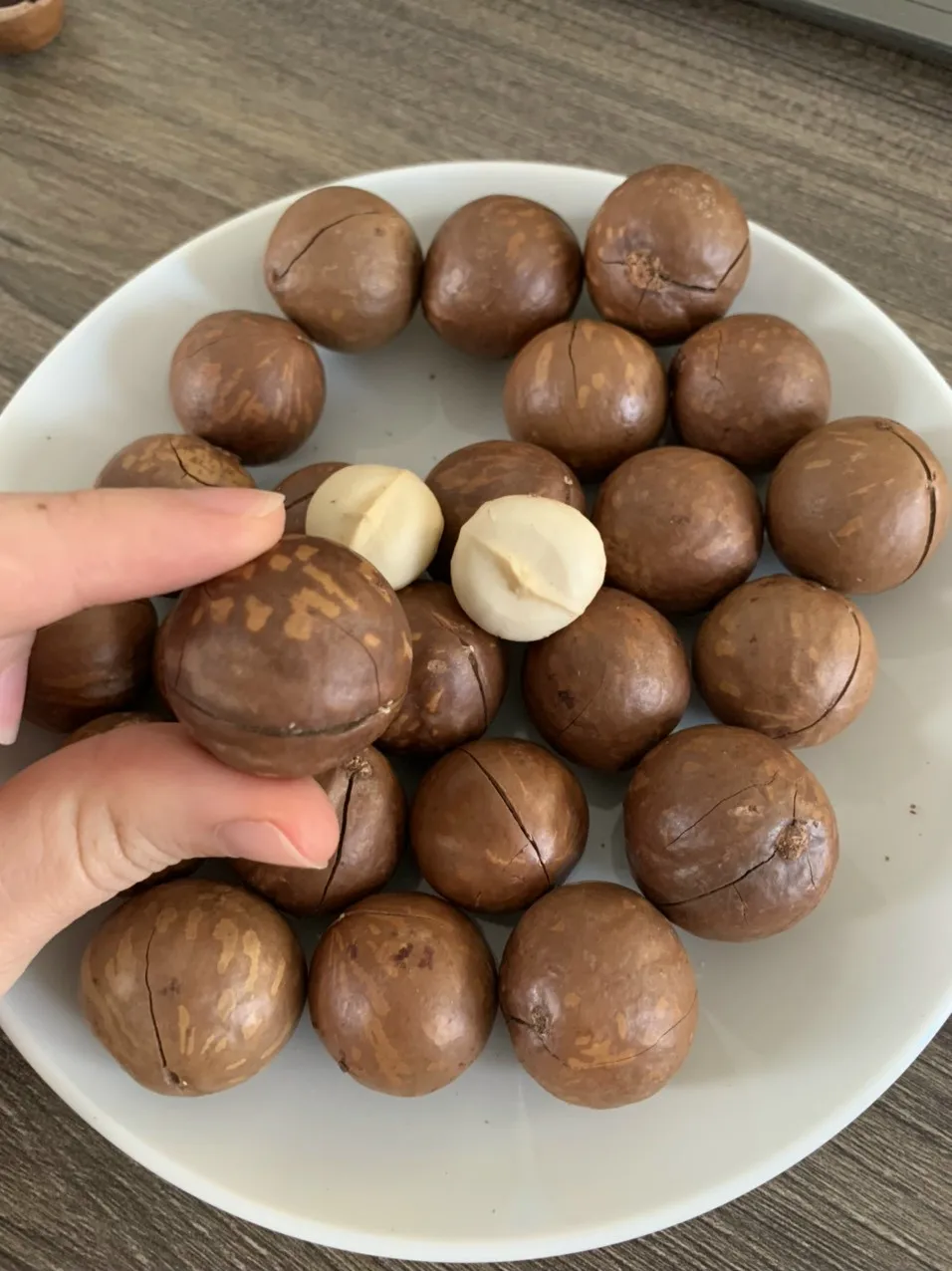 MACADAMIA - The Nut Is Famous For Its Distinctive Greasy Taste (Jennie Vdelta)