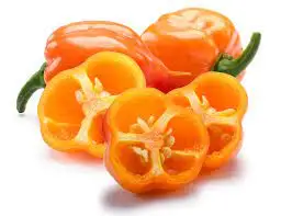 Wholesale Organic  Fresh Peppers yellow Fresh / Red and Green Chilli Pepper for sale