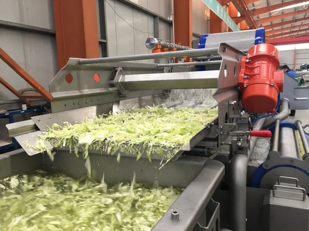 Vegetable Leaf Rotary Washing Machine for salad processing line