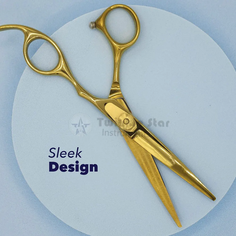 Professional Hair Scissors 6 Inch Hairdressing Scissors for Salon and Home Japan Silver HRC OEM Customised Steel Stainless Style
