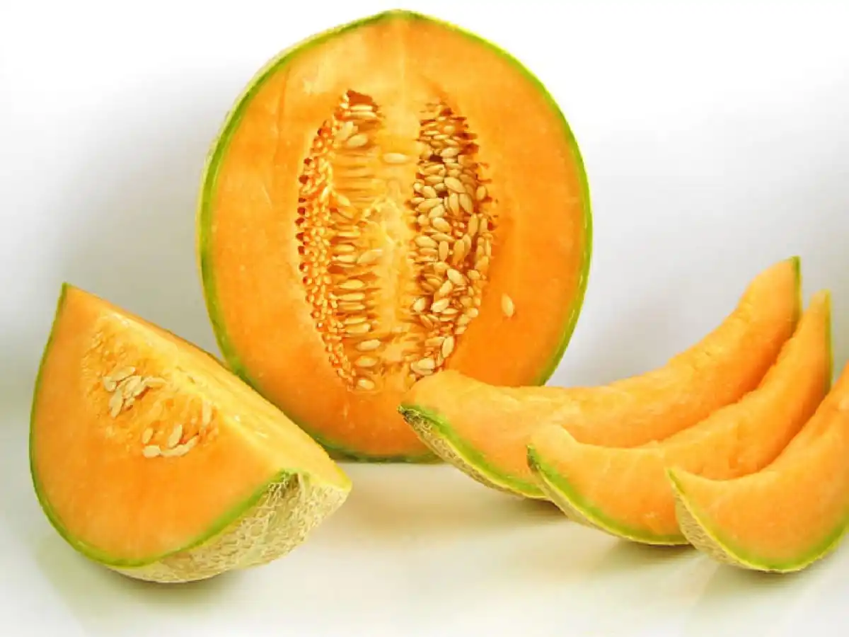 Exporting Fresh melon -  Cantaloupe seeds  with best quality for good healthy - LC/TT payment