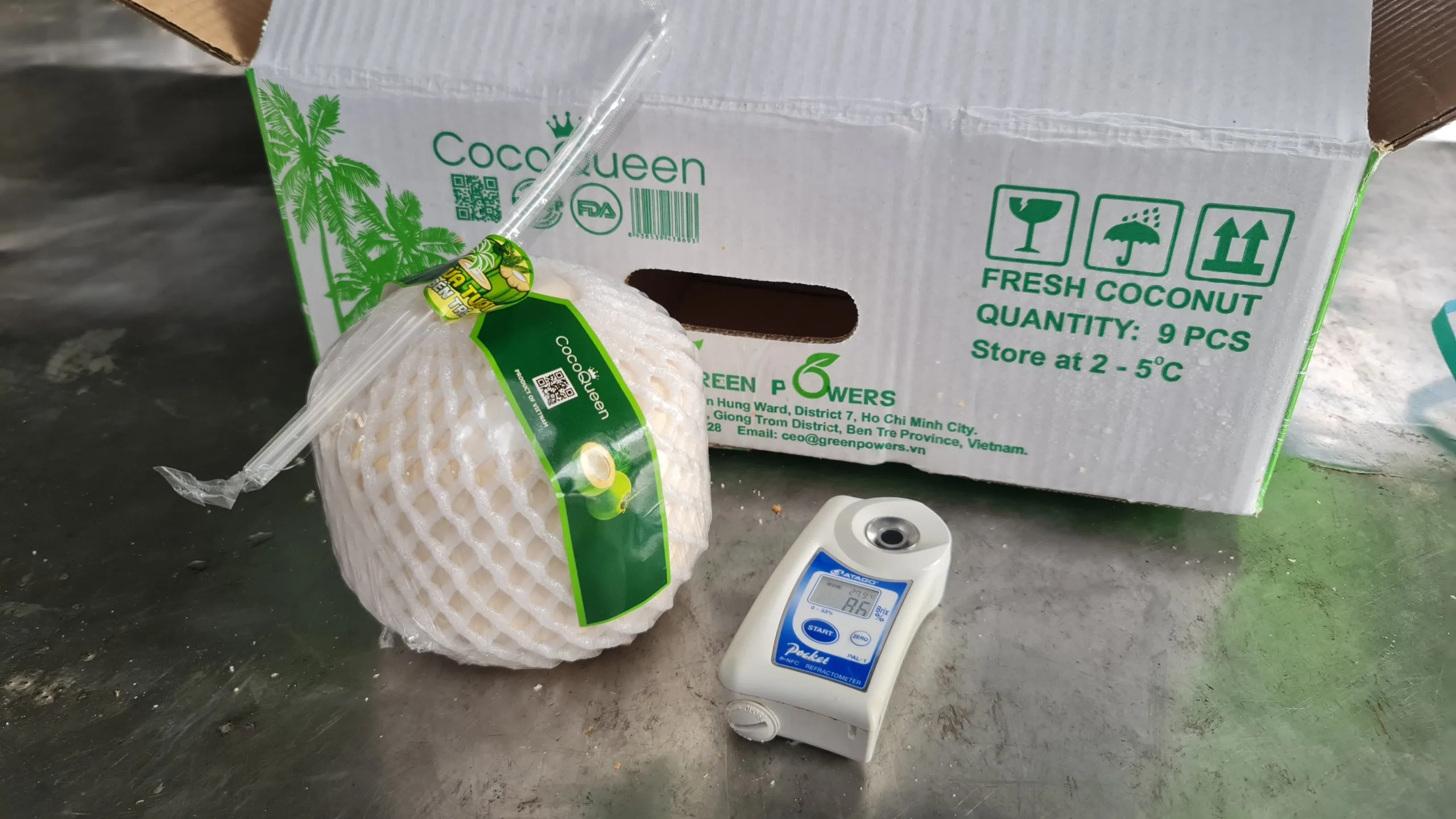 Vietnamese Competitive Price Ready To Drink Easy To Open Polished Coconut Water With Plastic Straw Organic Agricultural Product