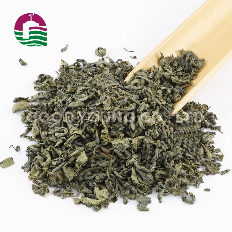 Good Young Tea Wholesale Bubble Tea Drinks for Boba Shop Gunpowder Green Leaf Tea