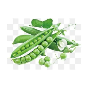 Non GMO Green Split Peas Green Pigeon Peas Split Green Tuar Dal Split Green Toor Dal