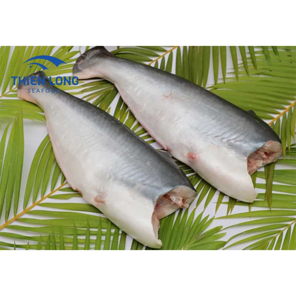 Top Quality Vietnam Supplier Fresh Frozen BQF Pangasius Whole Round Fish