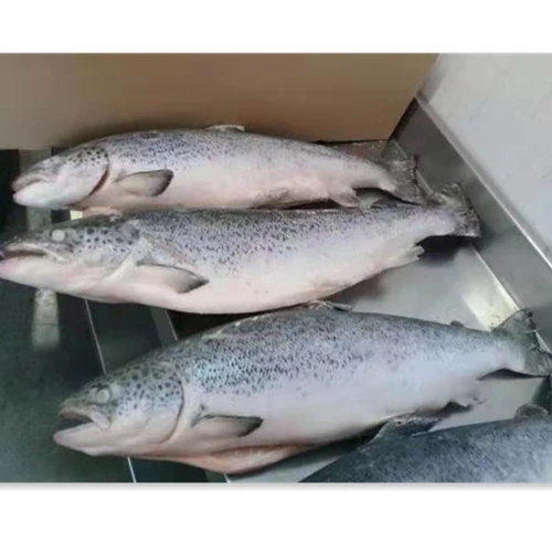 Frozen salmon