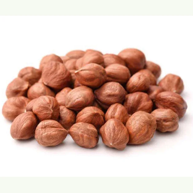 Natural taste organic grown Hazelnuts/ Hazelnuts Inshell & Kernels ready for market Natural Taste Quality Blanched Hazelnut