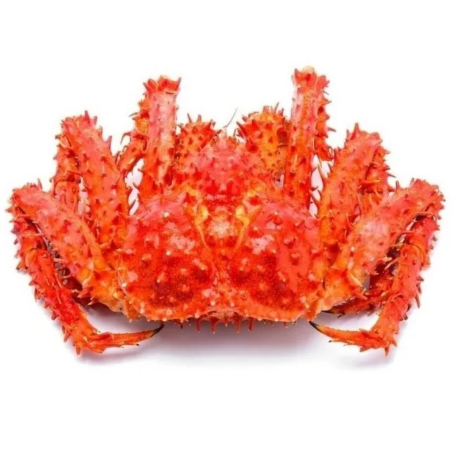 New Arrival Wild Caught Frozen Alaskan King Crab King Crab In USA Style Packaging Weight Muscle Red King Crab