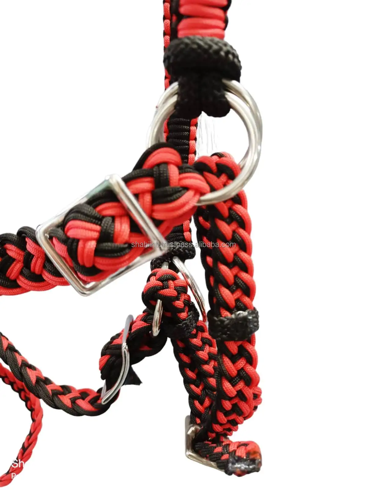 Equestrian Horse Bridle Premium Fancy 2mm Braided Rope Heavy Quality Iron Buckle in Blue/Black/Red/White Wholesale Price