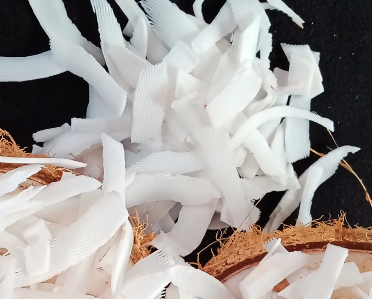 Низкая цена оптовая продажа сухой кокосовый орех из