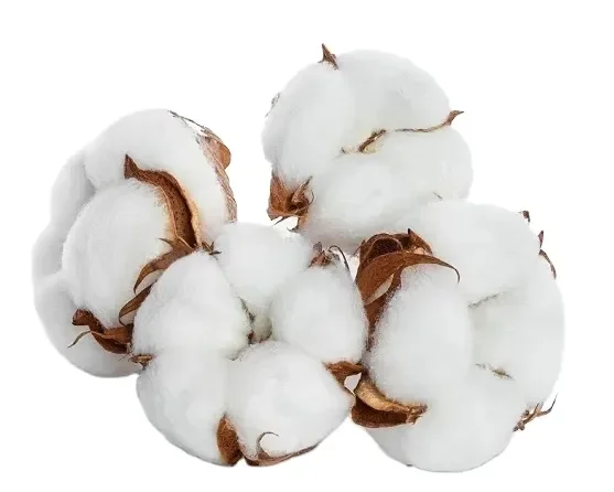 Organic Raw Cotton Fiber - Natural Color