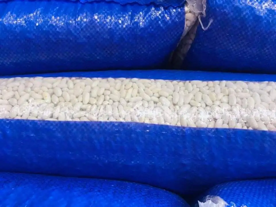 white kidney beans at wholesale prices