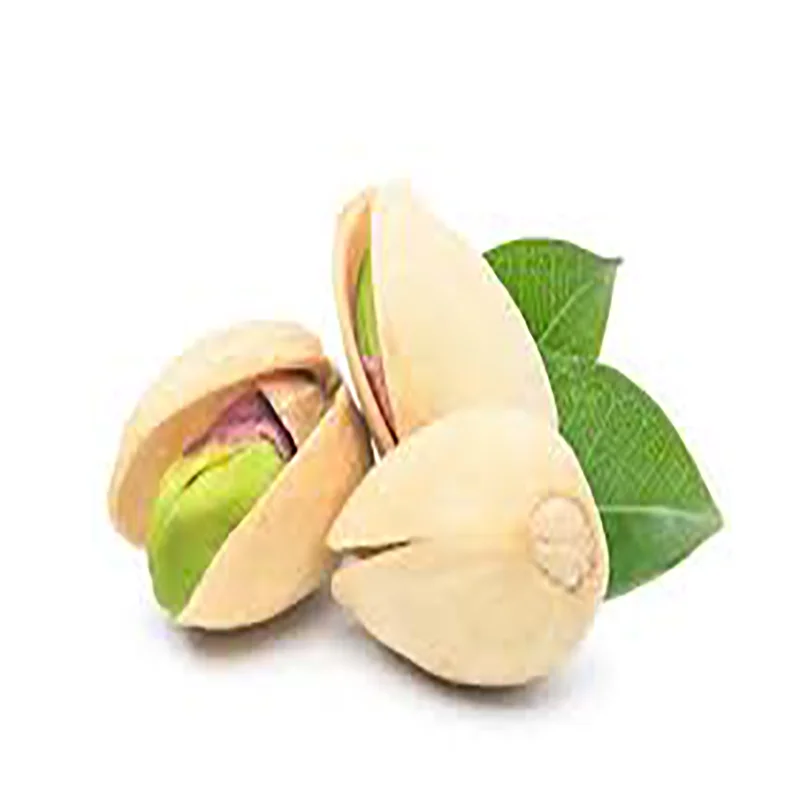 High Quality Selected Non-GMO high protein Pistachio high grade Product from Uzbekistan Pistachio nuts in shell for food