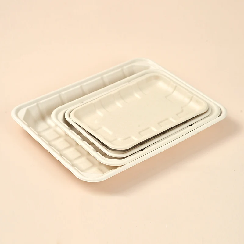 Hot Sale Compostable Dishes Sugarcane Bagasse Biodegradable Vegetable Meat Tray
