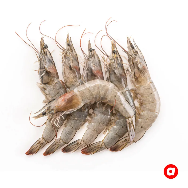 High Quality 18 Months Shelf Life Malaysia Wholesaler Tropical Seafood Prawns Fresh Vannaimei Prawn / Whiteleg Shrimp