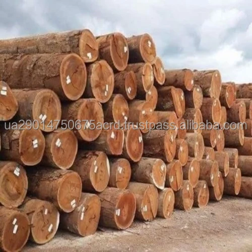 Pine-Sawn-Wood-Logs-.jpg