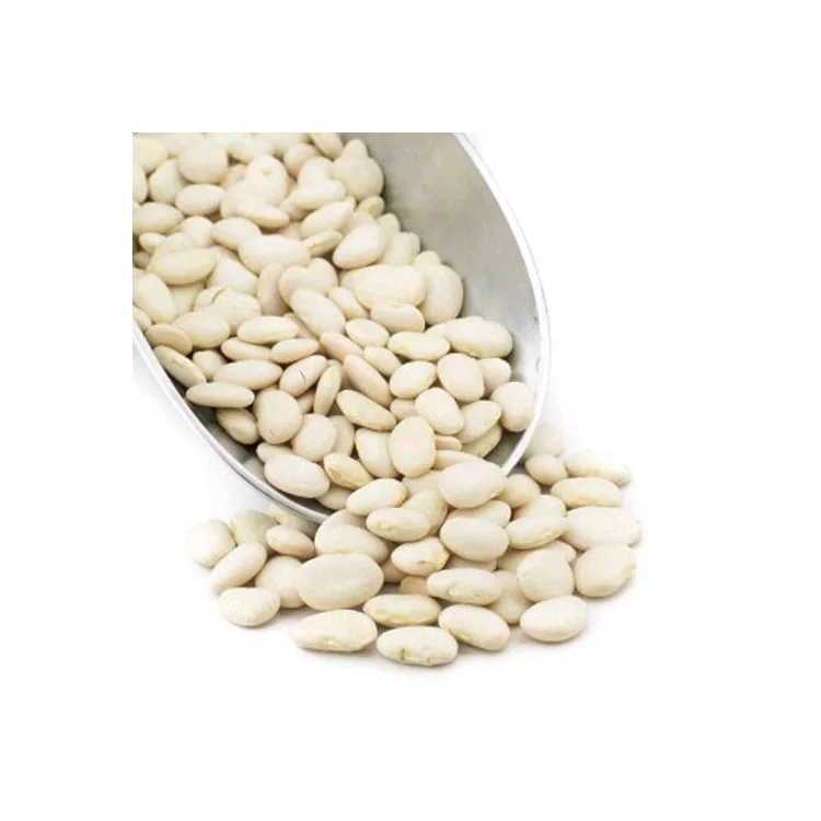 Food Grade 25kg bag Organic Dried long shape Butter Beans Small White Kidney Beans
