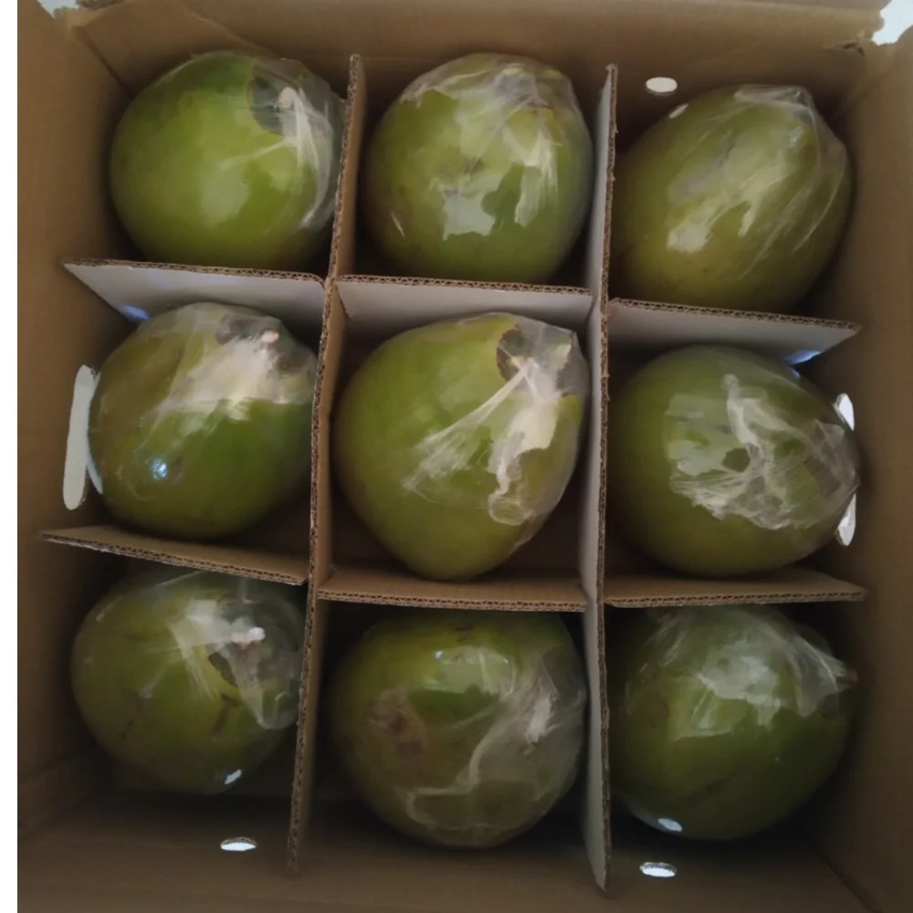 Оптовая продажа, свежий молодой кокос для питья и приготовления пищи, высшее качество от производителя из Вьетнама