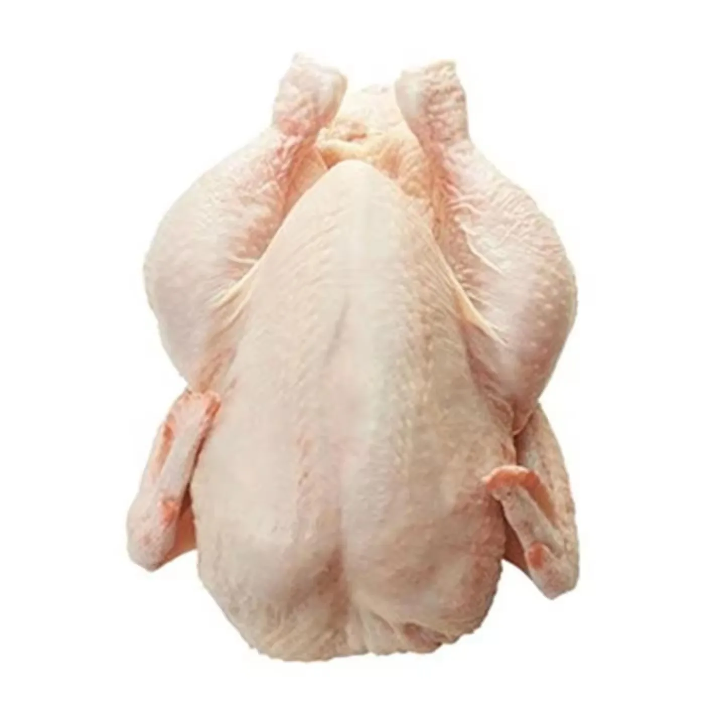 Frozen Whole Chicken -Halal