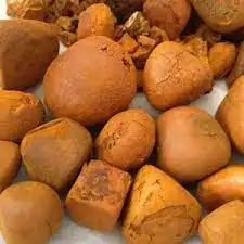 Wholesale Price OX gallstones Cattle OX Gallstones Cow gallstones