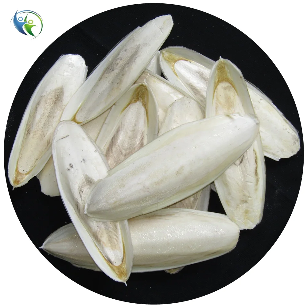 CUTTLEFISH BONE / SQUID Bone of CUTTLEFISH PET Food for BIRD Customized Packed Professional Manufacture