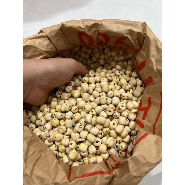 Premium Dried Lotus Seeds Perfect for Making Nutritious Soups and Desserts Ideal for Exporting