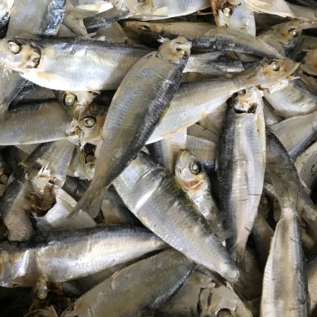 Special Salted Herring Fish Smoked Split Herring Fish With High Standard Ms Sophie