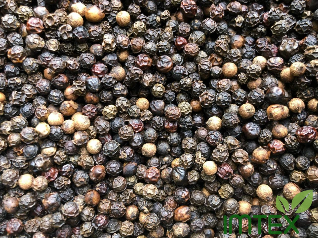 Hot Black Pepper 500 G/L For Exporting High Quality Good Rates For All Country In The World