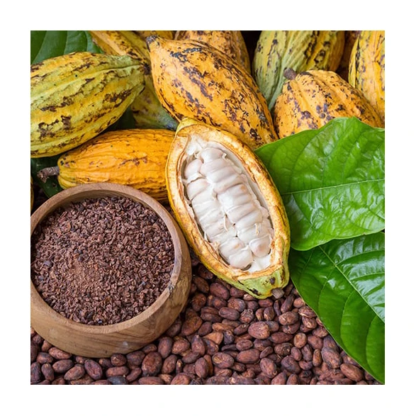 We are Suppliers of Natural Raw Cocoa Beans, High Quality Available