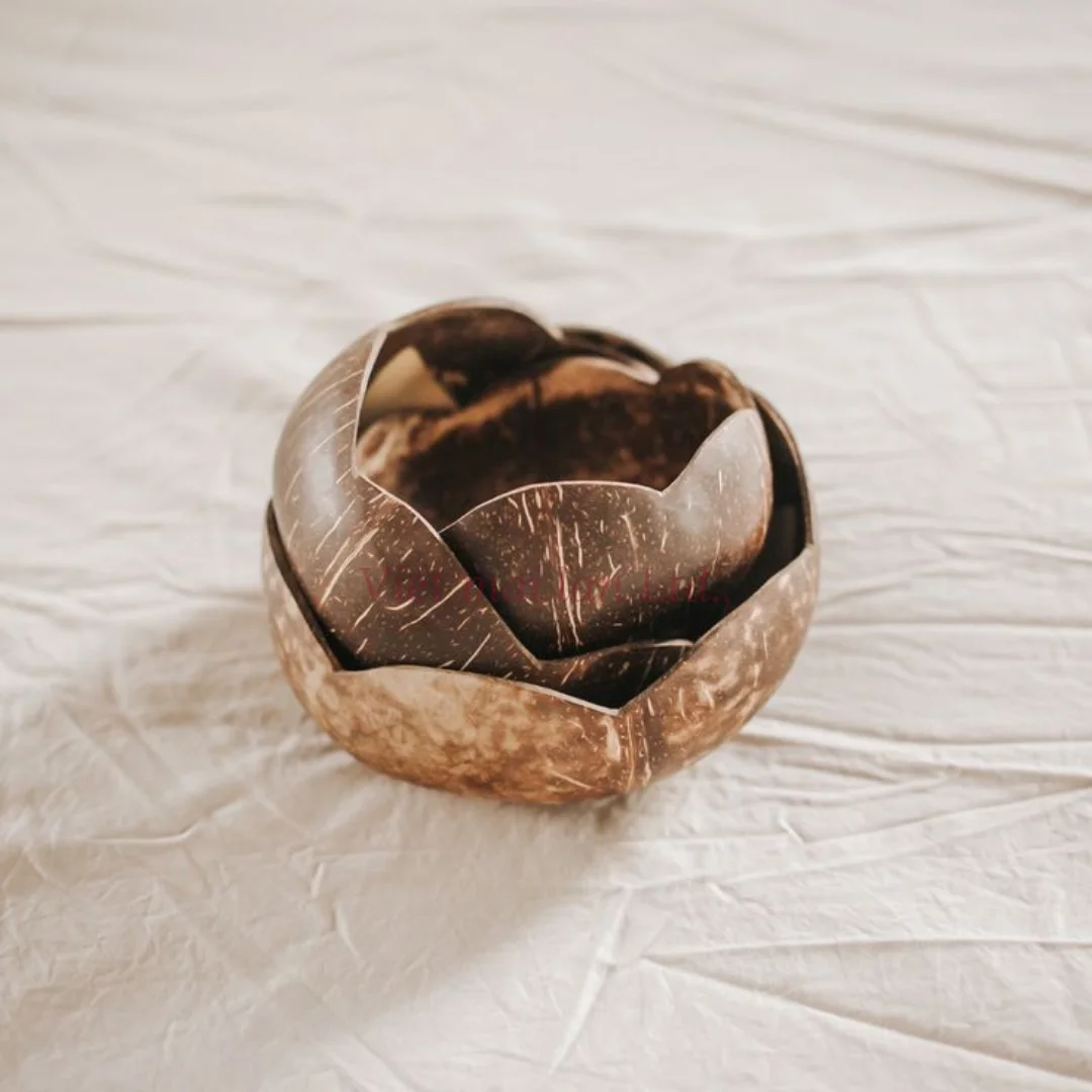 Coconut Bowl Set Polished Bowl Eco Friendly Natural Bowl Kitchen Decor Gifts for Vegan Organic Salad Made In Vietnam