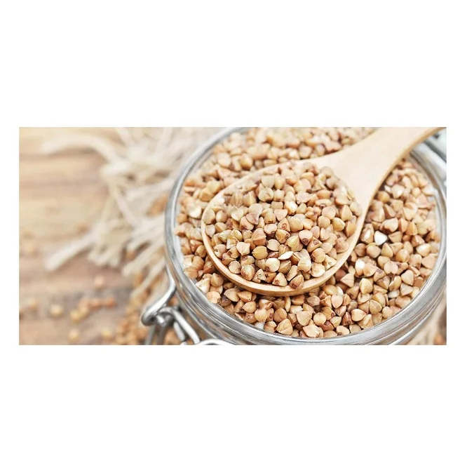 Best Quality Roasted Buckwheat For Sale In Cheap Price Wholesale Roasted Buckwheat