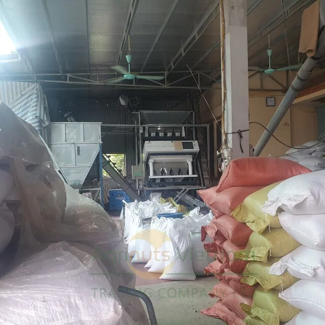 Peanut Grade Number 1 Size 6mm Product With Origin Vietnam Best Price For Sale High Quality From Manufacture Bryan 84 915600321