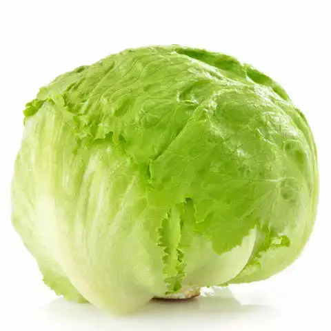 Cheap Fresh Vegetable  Cabbages Available