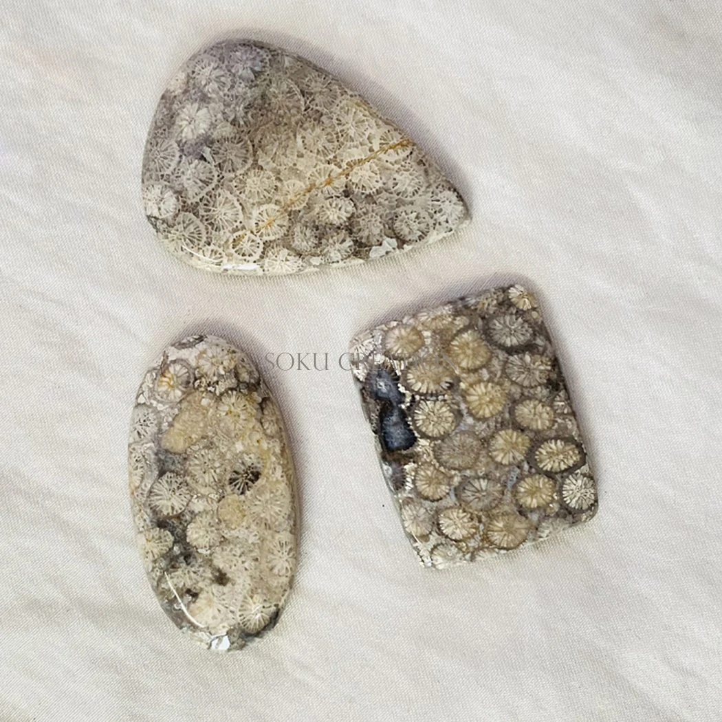 Black  Loose Gemstone Jewelry Natural Black Coral Loose Gemstone High Grade Handmade premium product