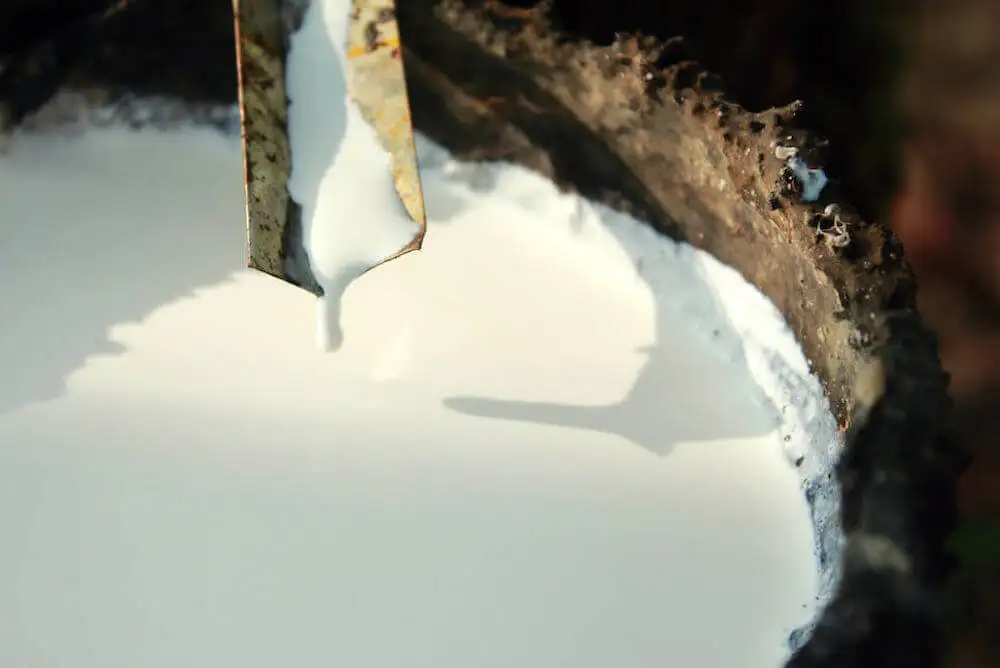 Natural Latex HA 60% DRC Milky White High Quality - Natural Latex High Ammonia 60% DRC High Quality To Used Extensively