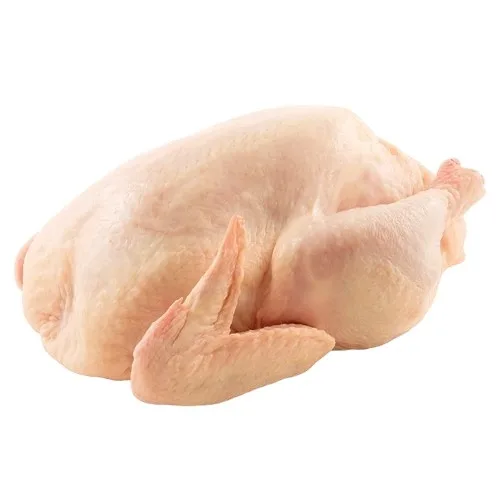 Top Selling Premium Grade High Quality Low Price Fresh Poultry Whole Frozen Chicken Meat From Brazil