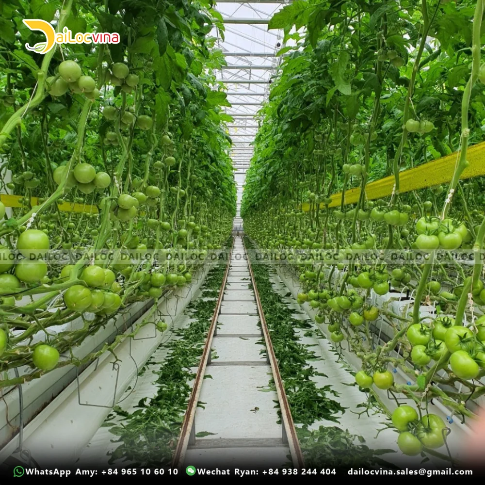 HOT SELLING COCO PEAT GROW BAG SLABS USED FOR GROWING VEGETABLES AND CHEAPEST PRICE FROM DAILOCVINA