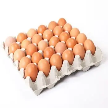 Свежие куриные яйца для фермы коричневые и белые из ракушек/продукт разных размеров свежие настольные