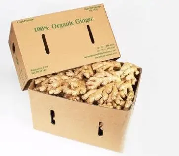 New product 2023 Dried Ginger Fresh Ginger Price In Viet Nam Light Yellow Natural Dried Ginger Slices made in Vietnam