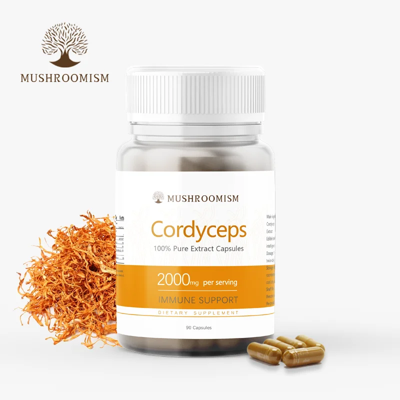 Herbal Cordyceps Extract Capsule OEM Nootropics Brain Supplement Lions Mane Supplement Mushroom Capsules for Memory