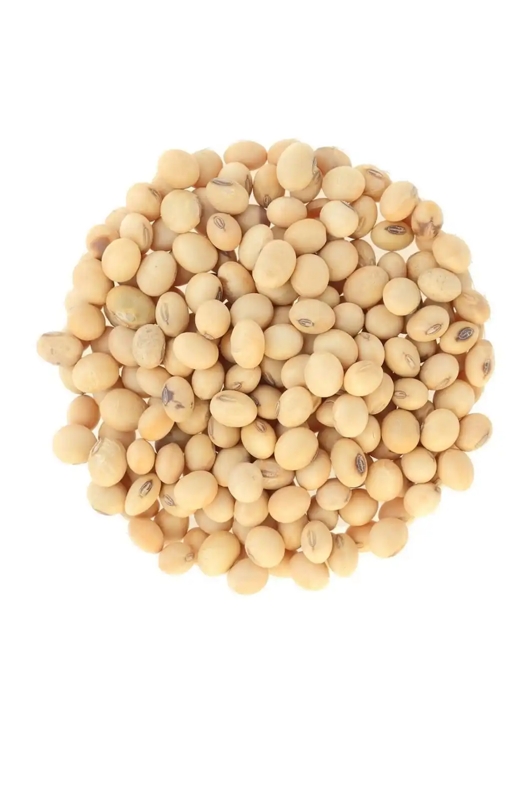 Non GMO Soybeans High Quality Soya Beans / Soy Bean for sale