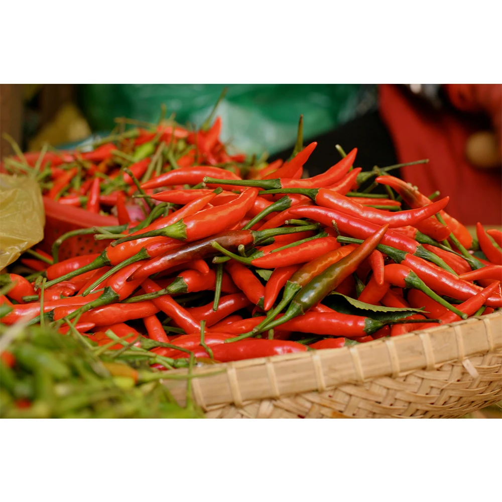 High Quality 100% Pure Chili Pepper Smoked Fresh Red Pepper For Food Seasoning From Vietnam
